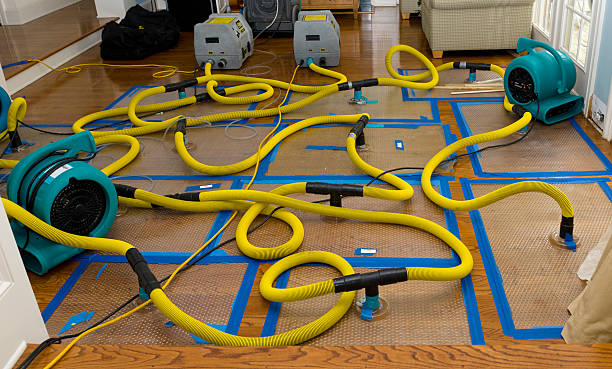 Professional Storm Water Damage Restoration technician working in Sanford, CO